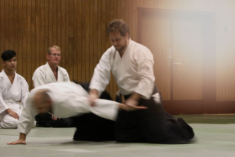 aiki-dojo-ludwigshafen-training-trainer
